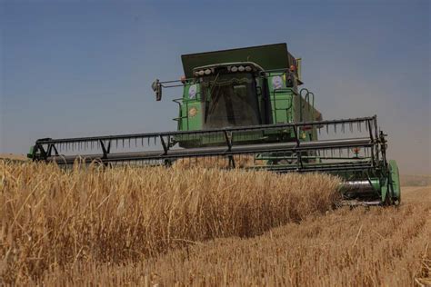 Ukraine’s Black Sea Grain Exports Have Completely Stopped, Minister Warns of Harvest Crisis